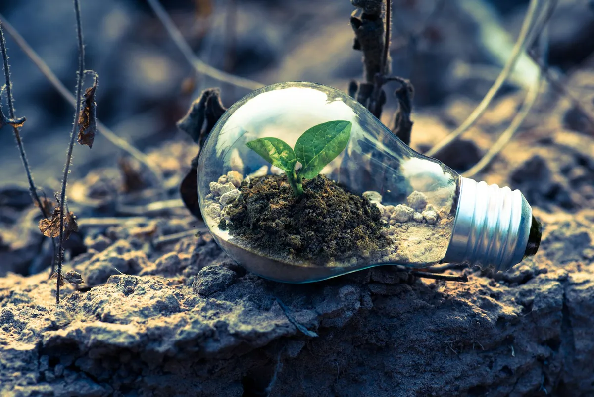 La alimentación sostenible gana espacio en la agenda ambiental global