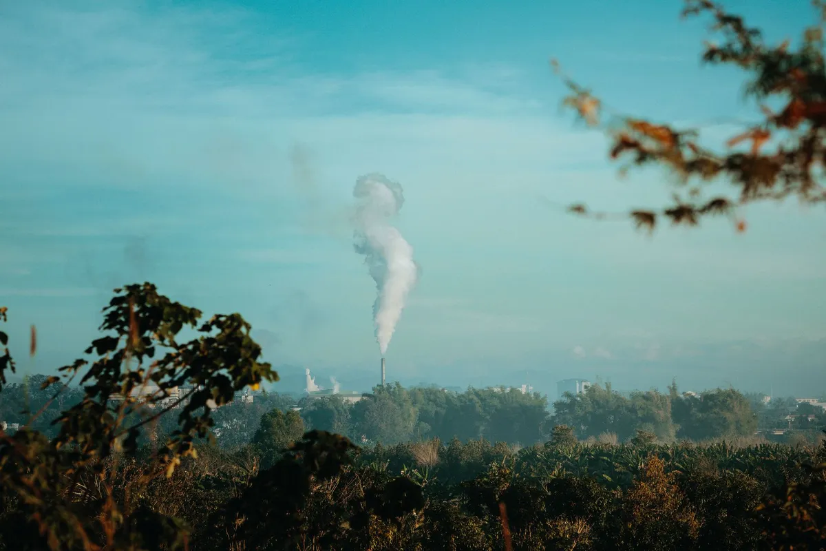 Una nueva guía médica vincula el cambio climático con el aumento de las alergias