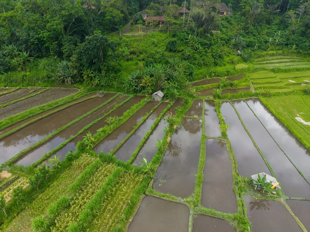 El Niño altera el tránsito marítimo y agrava la inseguridad alimentaria mundial