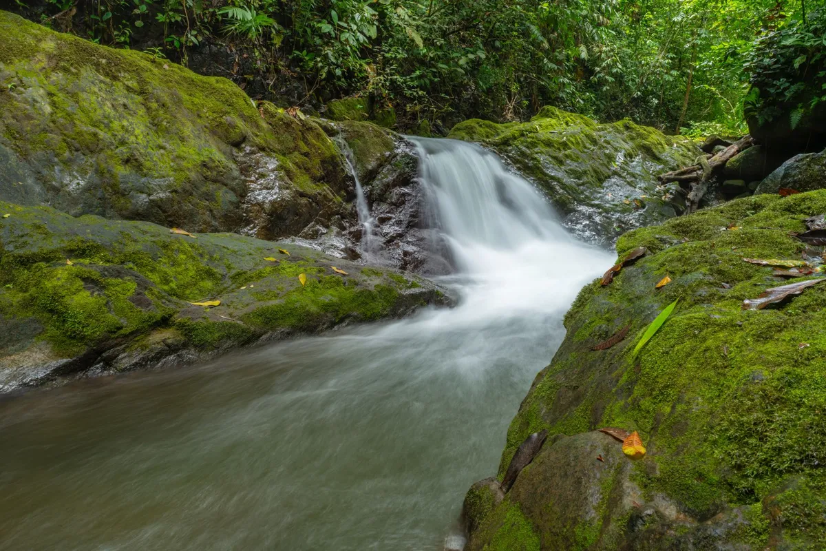 Costa Rica lanza su primera medición integral de sostenibilidad empresarial y ambiental