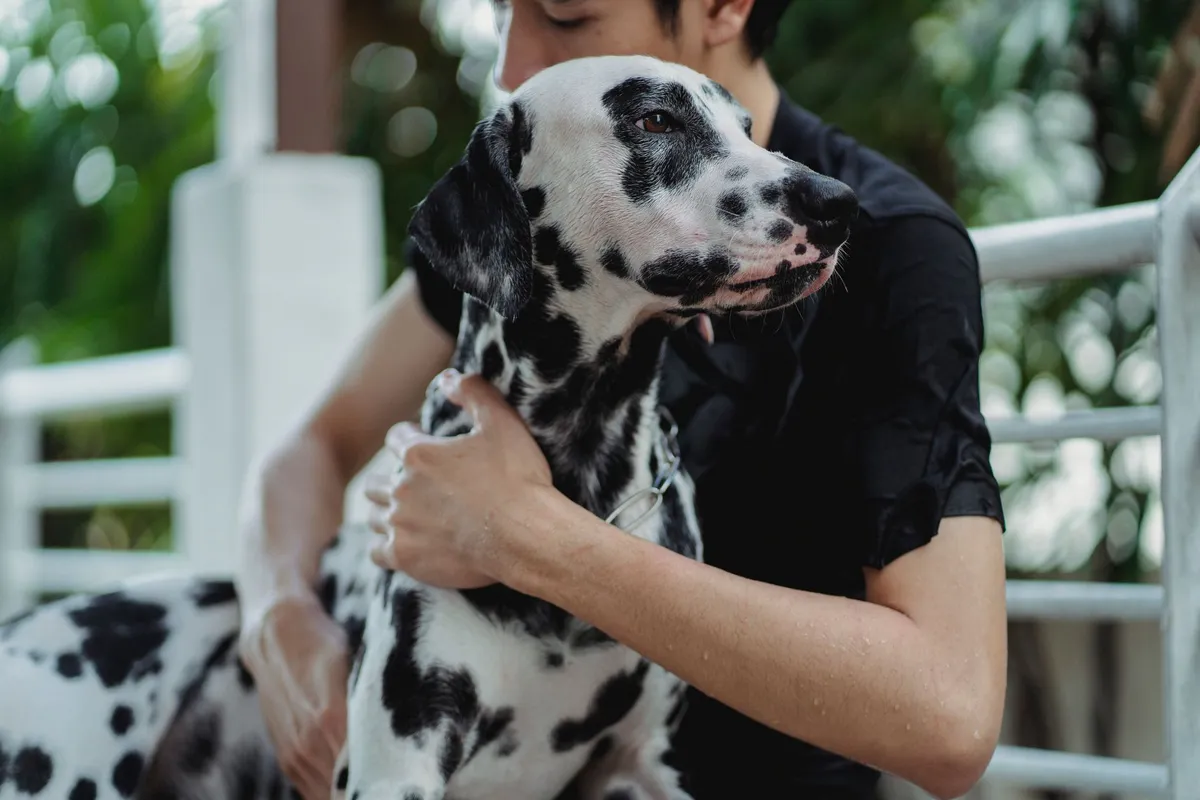 El vínculo afectivo, clave en el adiestramiento canino según experto
