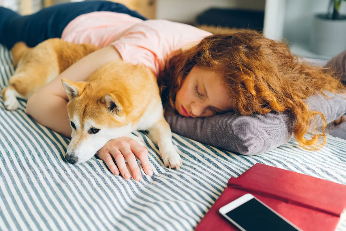 ¿Deben los perros dormir en la cama? El debate que divide a los dueños de mascotas