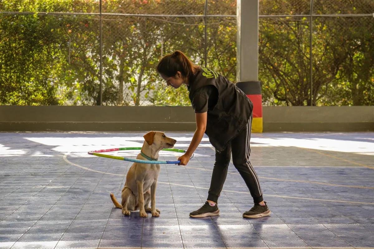 Parque Explora inaugura 'Perros & Gatos', exposición interactiva sobre tenencia responsable