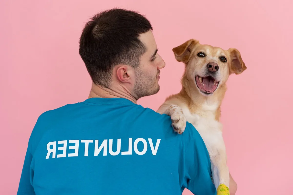 Broward Humane Society busca hogares para Spottia, Tyson y más mascotas en espera