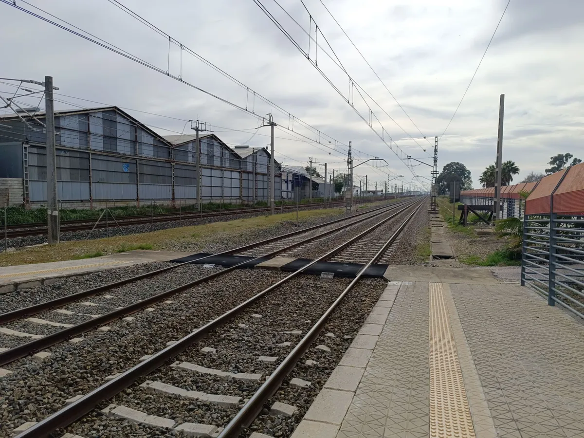 CBP propone que los ferrocarriles envíen datos anticipados de pasajeros y tripulantes en cruces internacionales