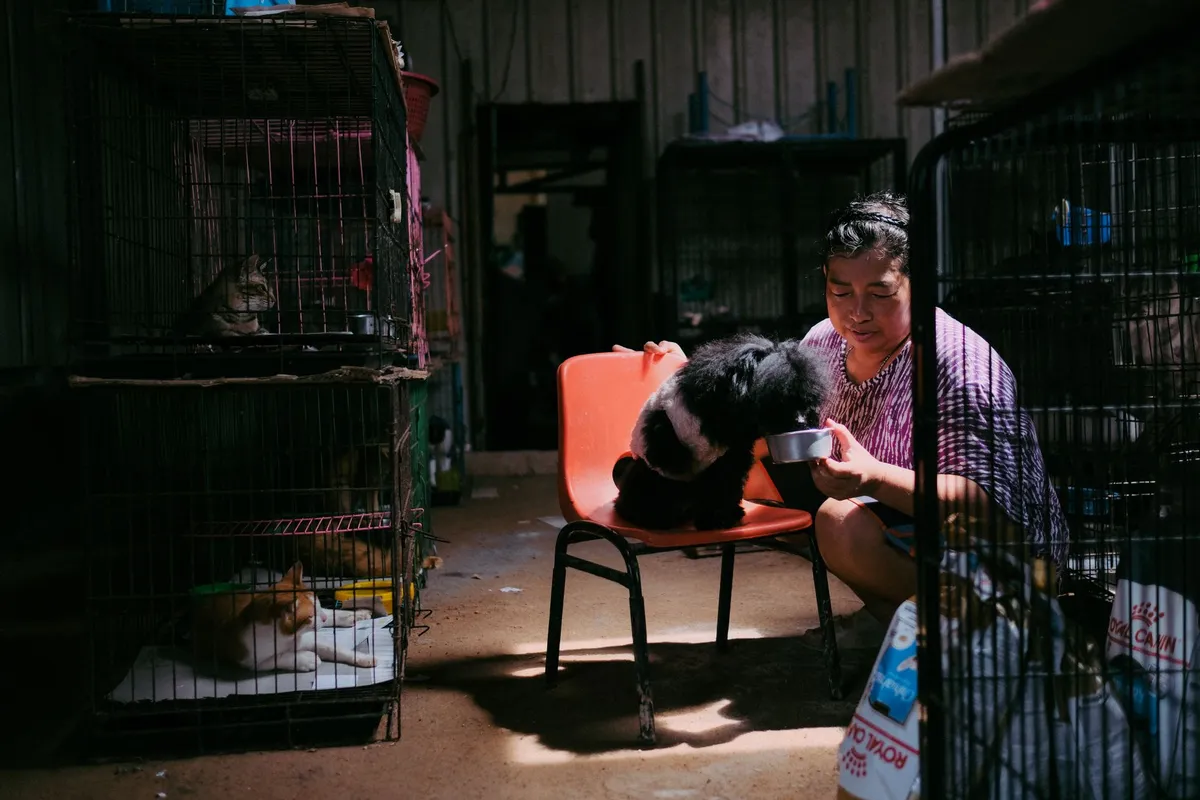Un refugio de animales renueva su llamado a la ciudadanía para sostener su labor de rescate y cuidado