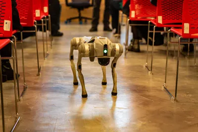 OpenAI y Anthropic abogan por una regulación que frene la carrera en IA