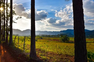 Emprendedores de Viñales sobreviven la crisis turística que golpea a Cuba