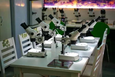 Córdoba abre la convocatoria de los Premios de Investigación Médica hasta el 22 de octubre