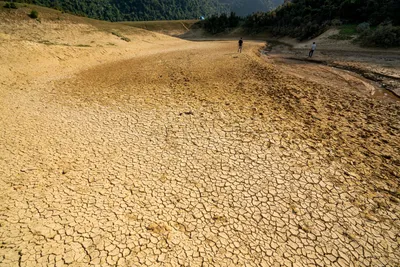 El PNUD analiza cómo cambia la percepción social del cambio climático según cada contexto