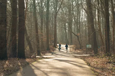 Entrenadores y científicos coinciden: caminar es un ejercicio recomendable para todos, según Men's Health