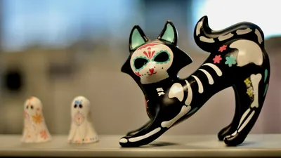 Día de Muertos: cuándo se coloca la ofrenda para mascotas fallecidas y qué elementos suelen incluirse