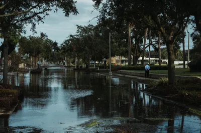 Isaías deja al menos cuatro fallecidos en Alabama y Florida, según un primer balance