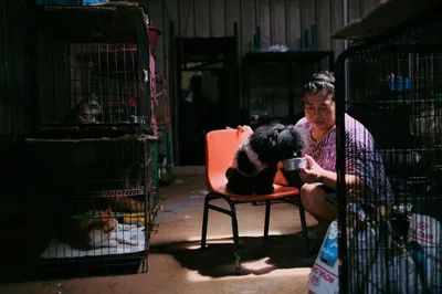 Un refugio de animales renueva su llamado a la ciudadanía para sostener su labor de rescate y cuidado
