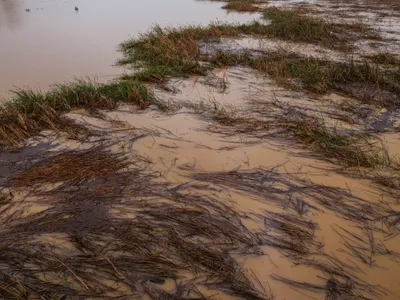 El huracán Simon causa inundaciones y evacuaciones en el Pacífico mexicano, según Telemundo Miami