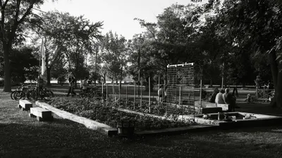 El programa Cultivar amplía las experiencias agrícolas para jóvenes latinos, según quepasamedia.com