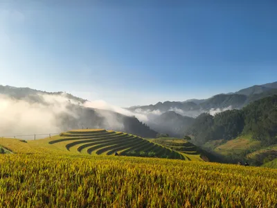 Vietnam en otoño: los destinos que lo sitúan entre los más destacados del turismo mundial